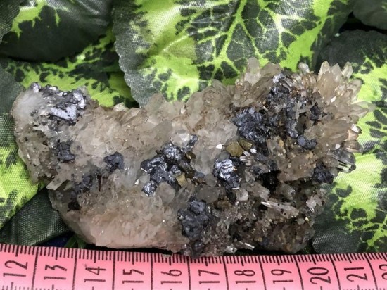 Il794xn1832297865e9pl