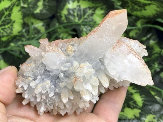 Il794xn2023416136f8lb