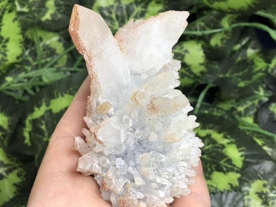 Il794xn2071016529qy01