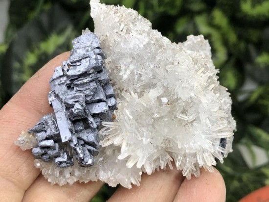 Il794xn233725862059dv