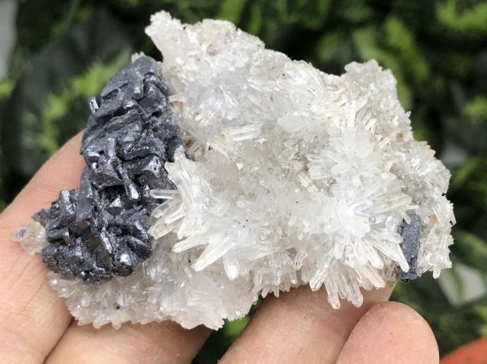 Il794xn2337258700dz12