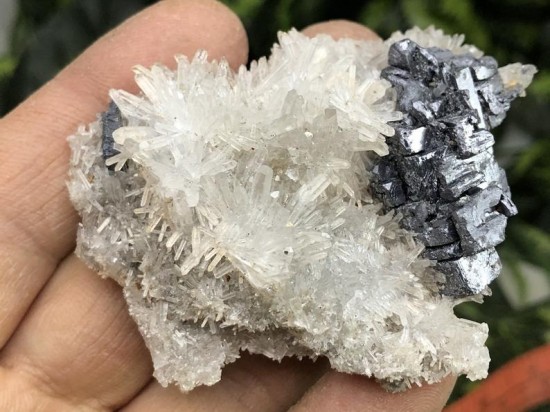 Il794xn2337258966amyu