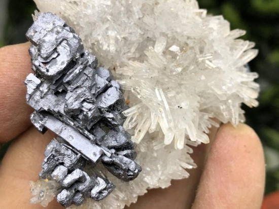 Il794xn2384847317d7cx