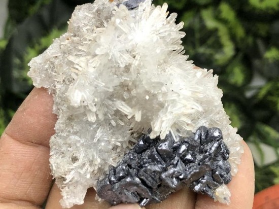 Il794xn2384847369f8i2