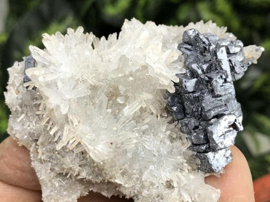 Il794xn2384847447mjgc