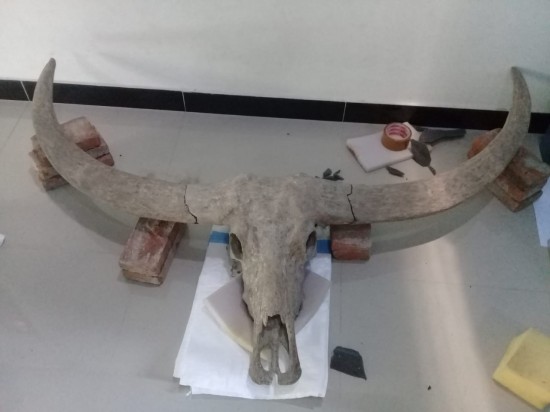 Img 20210206 wa0005 0 0