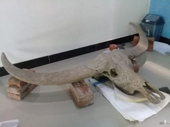 Img 20210206 wa0007 0