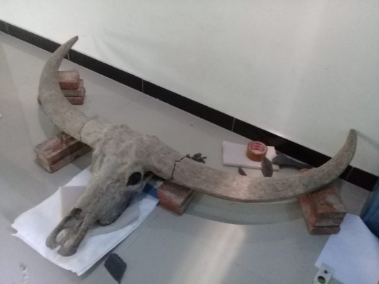 Img 20210206 wa0009 0