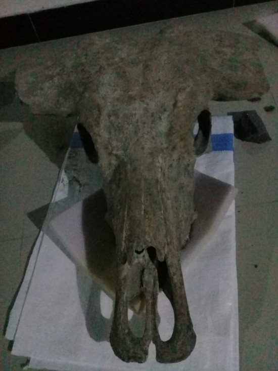 Img 20210207 wa0002 0