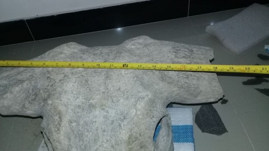 Img 20210207 wa0003 0