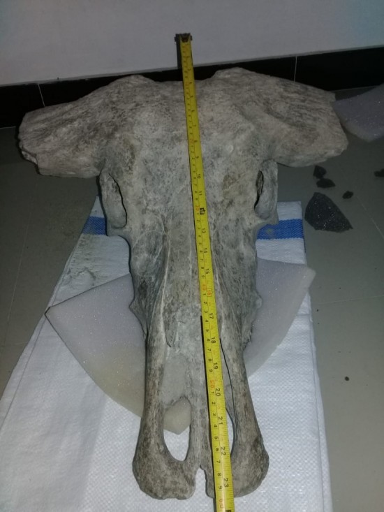 Img 20210207 wa0004 0