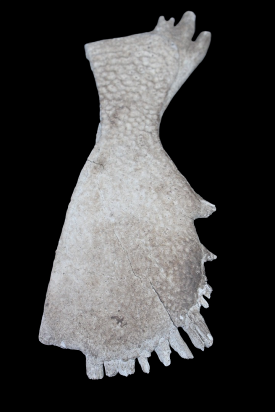 Img7337 0 0