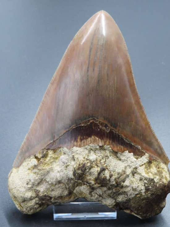 Ink 185 dlr verk 465