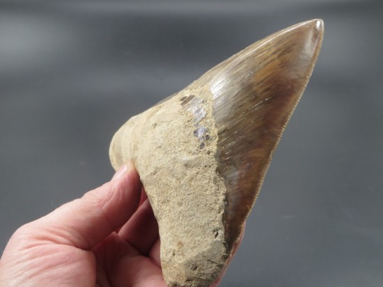 Ink 200 dlr verk  465