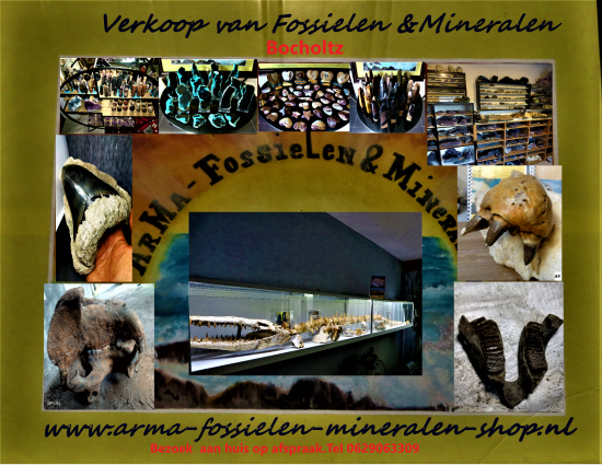 Naamloos   kopie 4   kopie 0