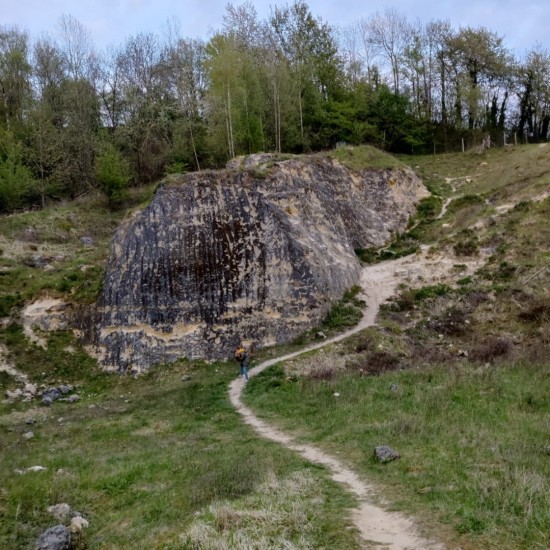 Wandelengroeveblom 3 1