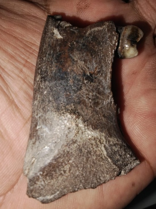 Whatsapp image 2026 04 03 at 122313