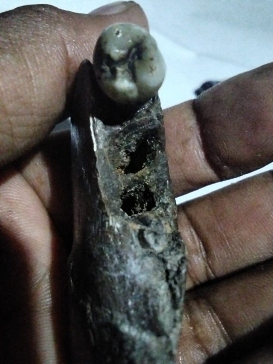 Whatsapp image 2026 04 03 at 155137