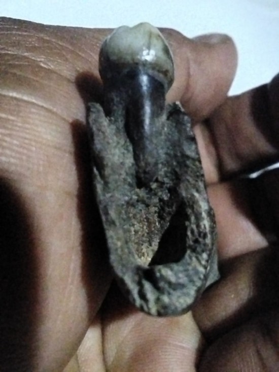 Whatsapp image 2026 04 03 at 155247