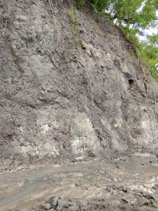 Whatsapp image 2026 04 12 at 120326